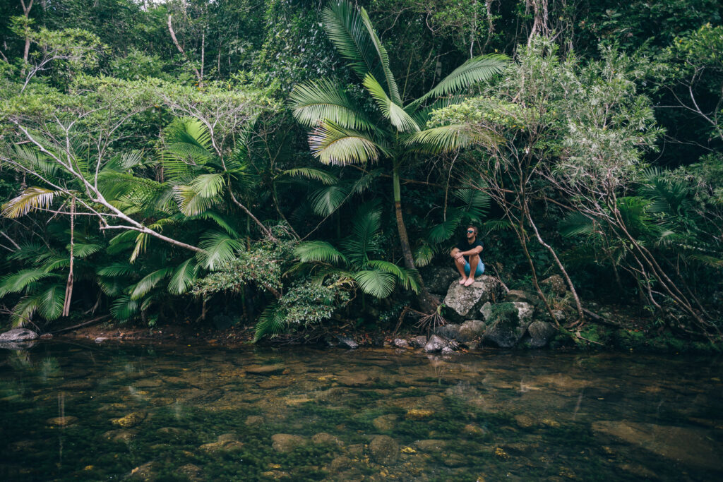 Man sitting on a rock beside a stream in a tropical rainforest, surrounded by dense vegetation and trees in The Whitsundays.