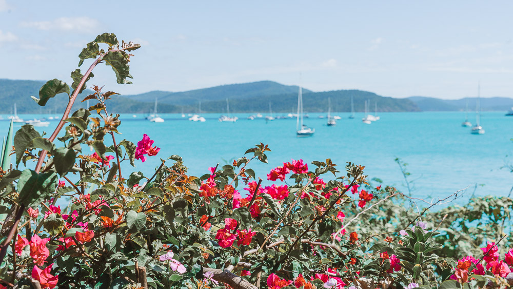 Best Bars and Nightclubs in Airlie Beach - Sailing Whitsundays