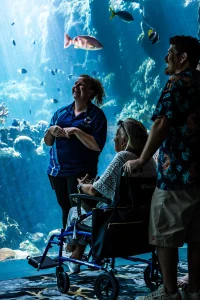 An elderly woman in a wheelchair, accompanied by a man and a smiling guide in a blue uniform, observing an underwater display in an aquarium. Colourful fish swim in the background, illuminated by beams of light, creating a serene and captivating atmosphere.